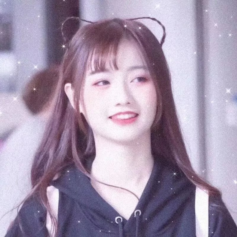 菊石